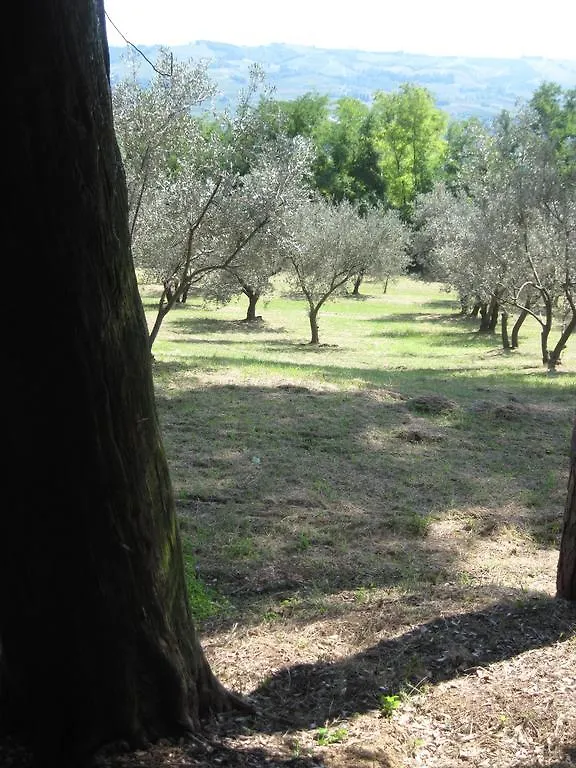 Διαμέρισμα Tenuta Olmatello Quartolo Ιταλία