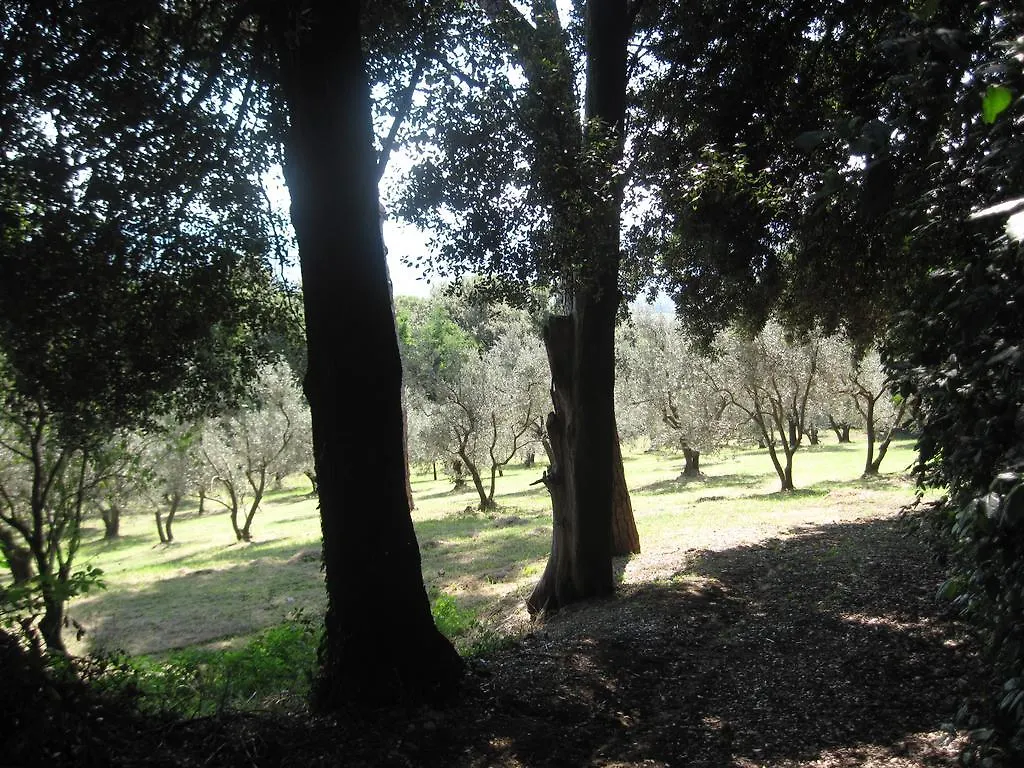 Διαμέρισμα Tenuta Olmatello Quartolo Ιταλία