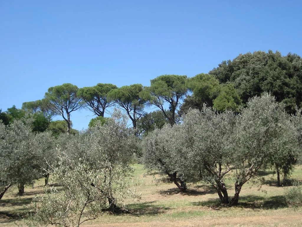 Tenuta Olmatello Quartolo