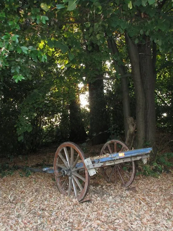 Διαμέρισμα Tenuta Olmatello Quartolo