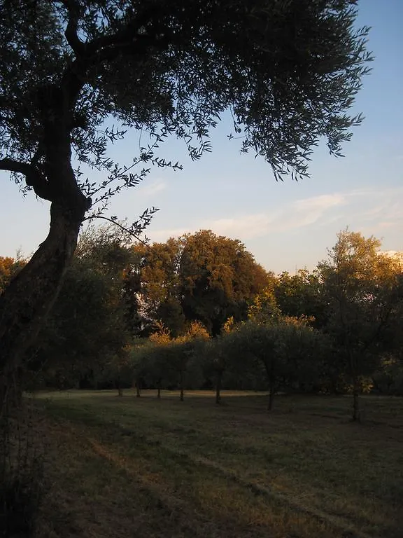 Tenuta Olmatello Quartolo