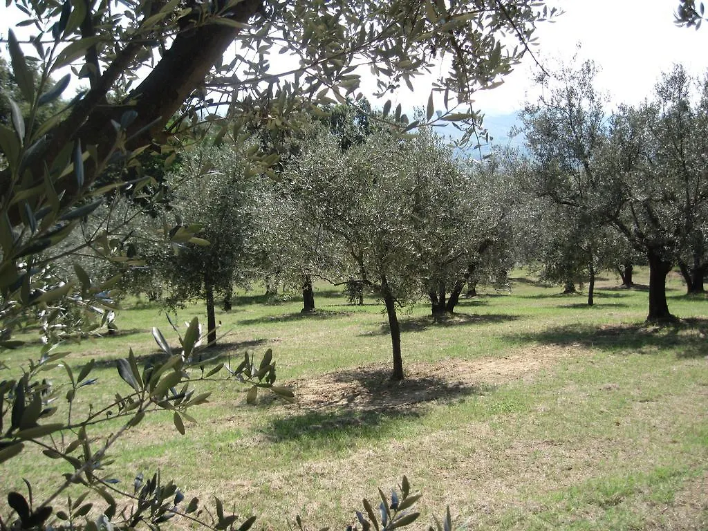 Tenuta Olmatello Quartolo Apartment