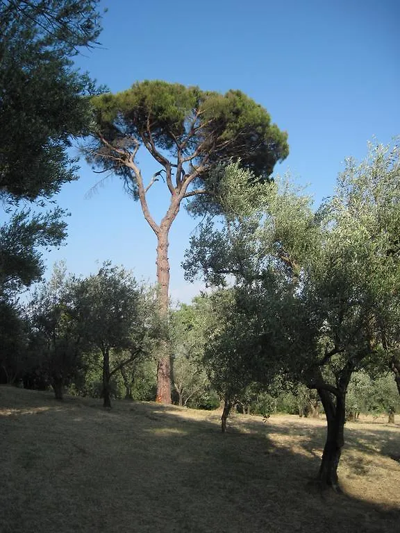 Tenuta Olmatello Quartolo Apartment